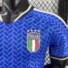 2026 Italy Style National Team Soccer Jersey - Azure Blue Leaf Edition - Unbranded High-Performance Teamwear